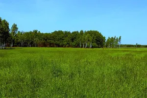 Ông Putin muốn tặng đất cho người gốc Nga hồi hương