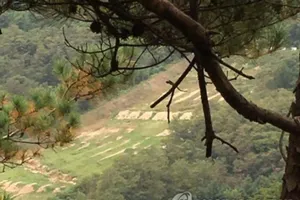 Đạn lạc 400 m, lính Hàn Quốc thiệt mạng gần biên giới