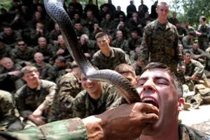 Xem lính Mỹ diễn tập uống máu rắn hổ mang trực tiếp