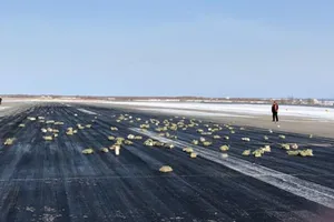 Máy bay Nga bung cửa, 3,4 tấn vàng rơi khắp đường băng