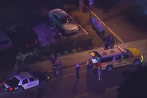 Xả súng trong quán bar ở Mỹ làm 12 người thiệt mạng