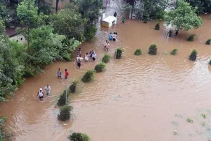 Video voi bị nước lũ cuốn trôi ở Ấn Độ