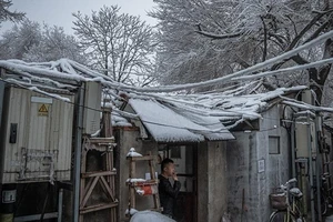 Lệnh phong tỏa vì dịch Corona: Tôi muốn sống!