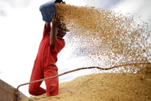 Trung Quốc ngừng mua đậu nành, thịt heo từ Mỹ