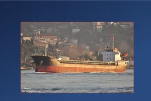 Ảnh chụp màn hình từ trang MarineTraffic.com về hình ảnh tàu chở hàng MV Rhosus của Nga. Ảnh: CNN