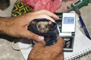 Chuyên gia WHO nói có thông tin mới về cách COVID-19 lây lan