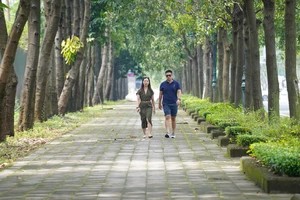 Mặt bằng rộng rãi, rợp bóng cây xanh trên tuyến đường sắp có làn ưu tiên cho xe đạp