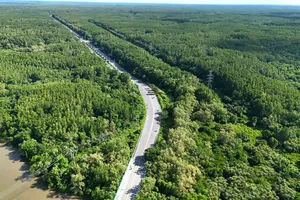 19-12 khởi công metro Bến Thành - Cần Giờ