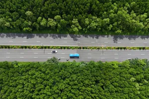 TP.HCM thống nhất đầu tư metro Bến Thành - Cần Giờ
