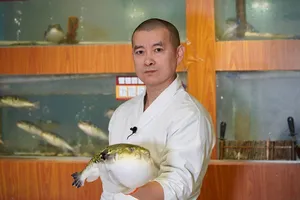 Tại sao cá nóc cực độc lại trở thành đặc sản tại Nhật Bản? 