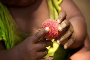 47 trẻ em tử vong tại Ấn Độ do ăn vải lúc bụng đói