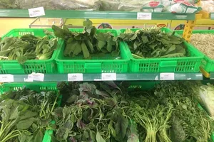 Chế độ giảm cân ngay còn trẻ giúp kéo dài tuổi thọ