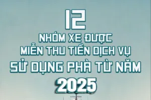 12 nhóm xe được miễn thu tiền dịch vụ sử dụng phà từ 2025