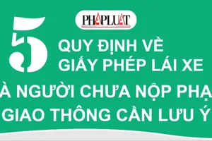 5 quy định về giấy phép lái xe mà người chưa nộp phạt giao thông cần lưu ý
