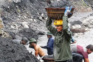 Thiệt hại do mưa lũ nhưng ngành than vẫn lãi 600 tỉ đồng