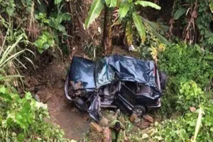 Xe chở đoàn công tác Tập đoàn Điện lực lao xuống vực