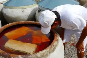 Yêu cầu Bộ Công Thương xem xét lại mức kỷ luật Vinastas