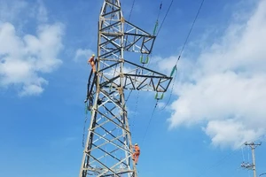 Khắc phục xong sự cố đường dây vượt biển Cát Bà