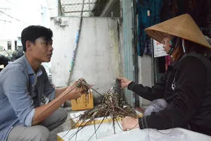 Lo ngại khan hiếm tôm hùm, giá tăng cao