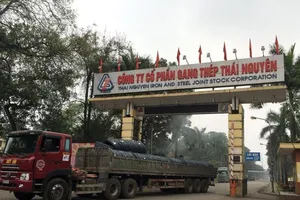 Nhà thầu TQ đòi tăng vốn cả trăm triệu USD ở dự án gang thép 