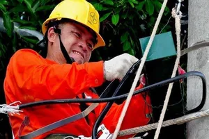 Chuyên gia VCCI và WB nói về minh bạch giá điện