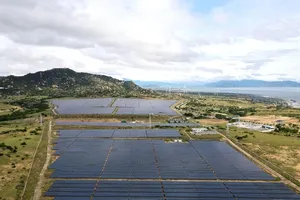 Việt Nam kiên định với mục tiêu phát triển năng lượng xanh