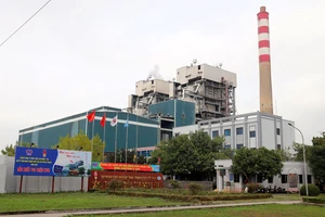 Tổng công ty Điện lực TKV: Vì sao lợi nhuận cao, cổ tức thấp? 