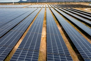 Xử lý nghiêm đối với các sai phạm về quy hoạch điện mặt trời