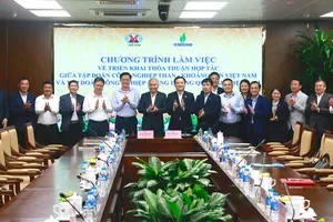 TKV và PVN rà soát tiến độ triển khai thỏa thuận hợp tác