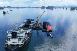 TKV dự kiến sản xuất than sạch vượt 2 triệu tấn so kế hoạch năm 2025