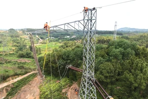 Năm thứ 2 liên tiếp EVN có lợi nhuận