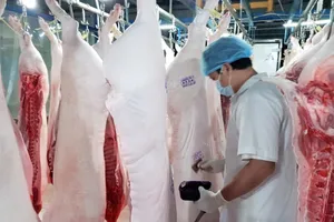 Thịt heo VietGAHP có bán tại 6 trung tâm MM Mega Market