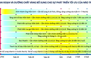 “Dinh dưỡng vàng - Thời gian vàng” cho não bộ của trẻ