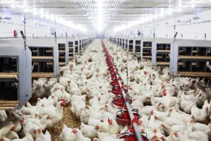 Lysaght Agrished đánh dấu 2 năm tham gia thị trường