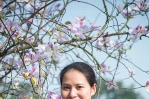 Khám phá vẻ đẹp mùa xuân phương Bắc