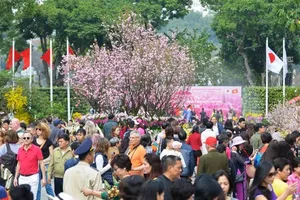 Rộn ràng lễ hội hoa anh đào Nhật Bản 2018 tại Hà Nội