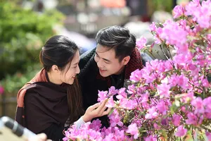 Đỗ quyên - ngất ngây cảnh sắc từ rừng tới hội