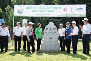 Vinamilk: trồng 100.000 cây xanh, tặng 66.000 ly sữa ở đất Mũi