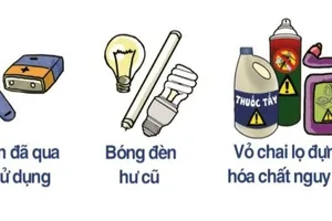 Trải nghiệm ‘sống xanh’ ngay tại nhà