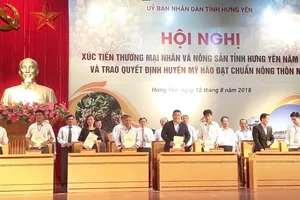 SaigonCo.op bao tiêu tối thiểu 100 tấn nhãn lồng Hưng Yên