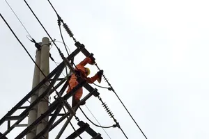 EVNNPC phấn đấu tỉ lệ tổn thất điện dưới 5,5%