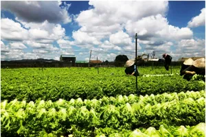 Nhận giải thưởng “Doanh nghiệp vì nhà nông”