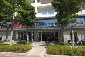 Mùa xuân đầu tiên của EVNGENCO 3 tại TP.HCM