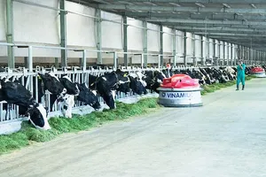 Trái ngọt từ chiến lược đầu tư bài bản của Vinamilk