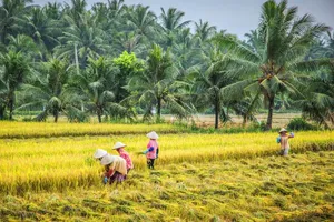 Xem Bến Tre trưng bày, giới thiệu sản vật tại Sài Gòn