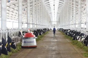 Nhờ vùng nguyên liệu lớn, Vinamilk dẫn đầu thị trường sữa