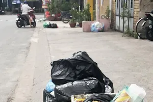 TP.HCM giám sát việc xử lý ý kiến của dân về xả rác