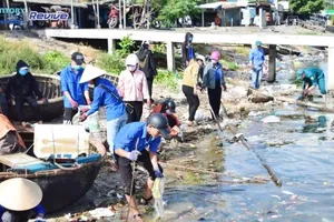 Sinh viên thu gom hơn 8,5 tấn rác dọc bãi biển Việt Nam