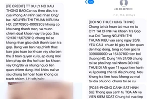 Mạo danh nhân viên tài chính ngân hàng quấy phá người dân