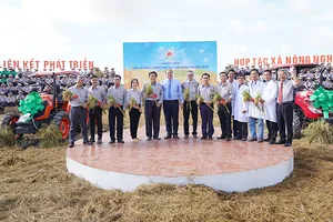 Tập đoàn Lộc Trời: chuỗi liên kết HTX nông nghiệp kiểu mới